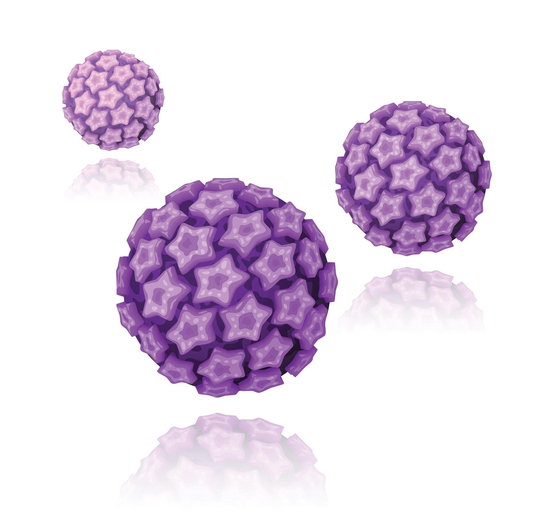 HPV: Ιός των ανθρωπίνων θηλωμάτων