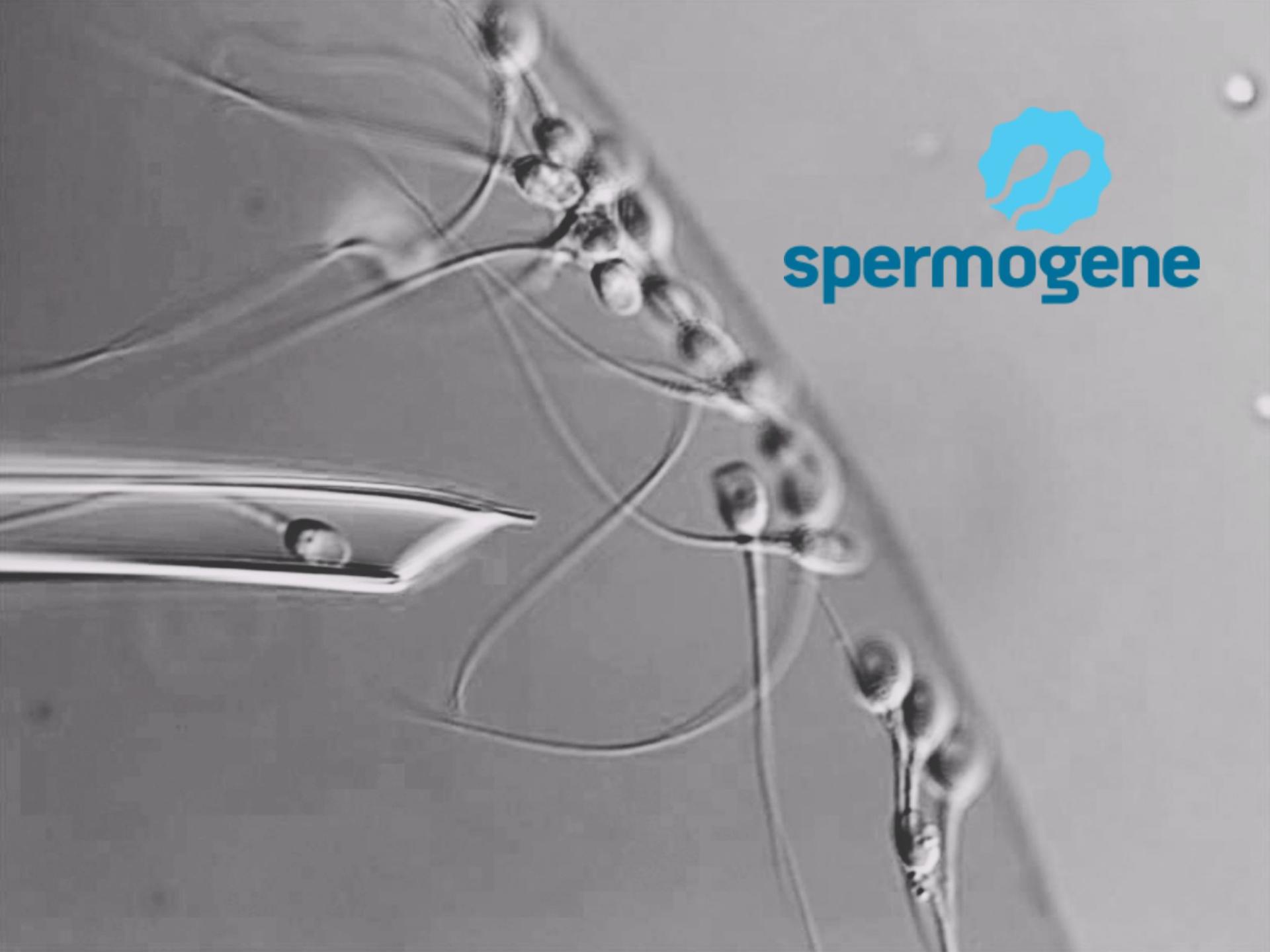 Embryolab: Αζωοσπερμία